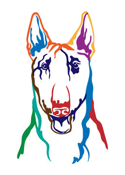 Bull terrier dog vector illustration abstract color portrait