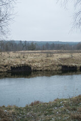 the river in the spring