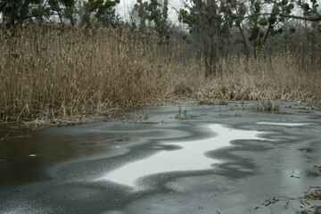 the river in the winter