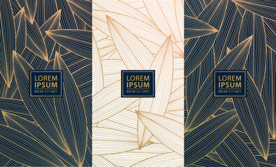 Set of vector design elements: labels, frames, wedding invitations, social net stories, eco packaging, luxury products, perfume, soap, wine. Line golden backgrounds, floral patterns with leaves