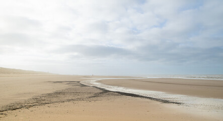 Fototapeta na wymiar januari beach netherlands