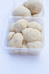 Fresh lion's mane mushroom on white background.