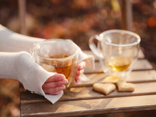 Drinking tea with cookies on wooden table. Cozy autumn mood scene in autumn park - 565288496