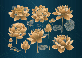 Set of lotus flowers for luxury and exclusive use in design. Water lilies in gold and blue colors, isolated elements. Nelumbo made in Chinese aesthetics and culture style.