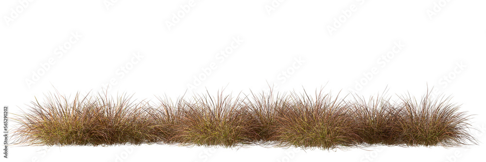 Aufkleber savanna grass field row on transparent backgrounds 3d rendering png file