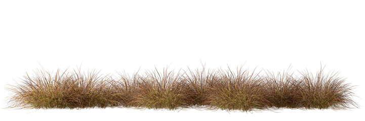 Savanna grass field row on transparent backgrounds 3d rendering png file