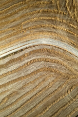 Aerial shot of a straw field left to dry .