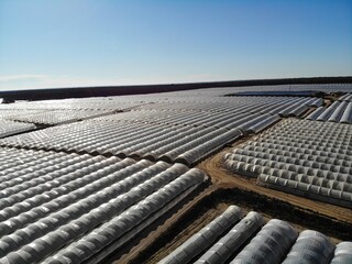 Aerial view of greenhouse (Invernaderos). Strawberries Organic agriculture in greenhouses