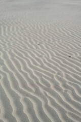 ripples in the sand