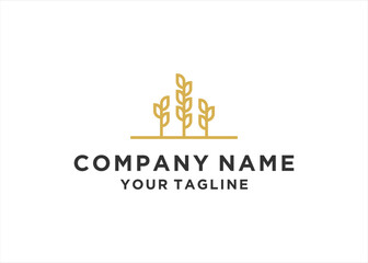 Fototapeta premium wheat grain logo design vector template