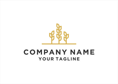 wheat grain  logo design vector template