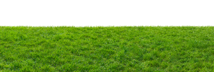 green grass field isolated on transparent background, png
