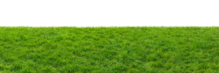 Abwaschbare Fototapete Gras green grass field isolated on transparent background, png