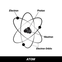 Atomic structure vector consists of protons