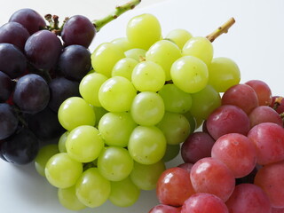 マスカット、ピオーネ、ゴルビー