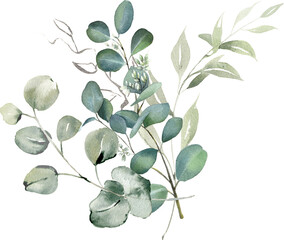 Watercolor eucalyptus flower bouquet. Greenery branches and jasmine flowers clipart. Foliage arrangement for wedding, stationery, invitations, cards. Illustration isolated on white background © Nataliya Kunitsyna