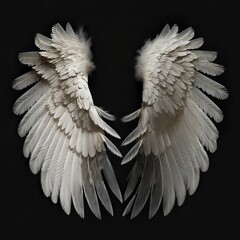 generative ai feather angel wings isolated on black