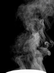 2023.01.26 撮影
湯気