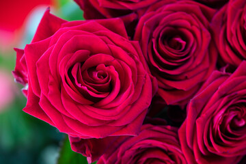 Valentines day. Bunch of roses on the bokeh background. 