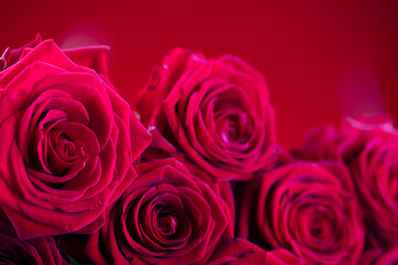 Valentines day. Bunch of roses on the bokeh background. 