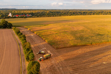 Forage harvester on maize cutting for silage in field with container ship in the backgrond....