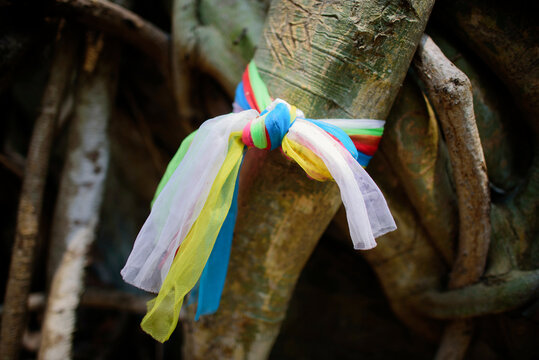 Close-up of colorful ribbons tied on tree trunk