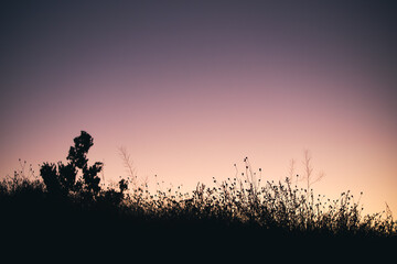 Moody picture of a twilight after romantic sunset outdoors
