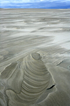 mooving dunes in the Slowinski National Park, Lebsko Lake, Pomerania, Poland