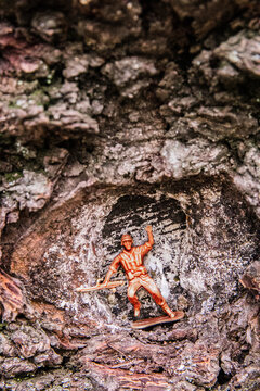 Plastic toy soldier in tree hole