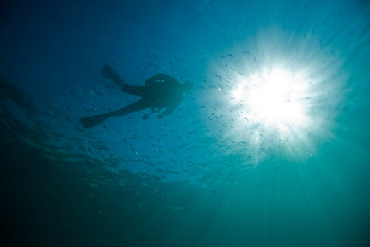 Low angle perspective silhouette of SCUBA diver in the ocean.