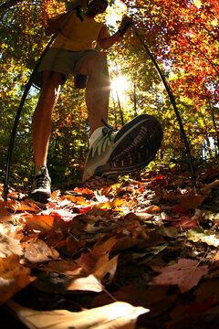 Ground-level fisheye view of male hiker walking through fall leaves in the Pisgah National Forest near Brevard, NC