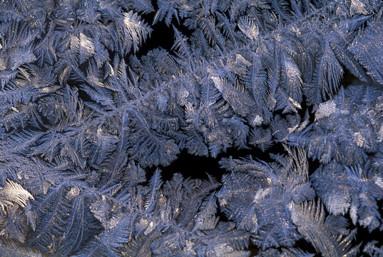 Close-up of frost crystals.
