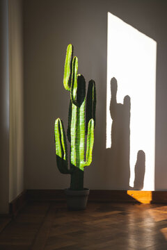 A fake cactus in the sun