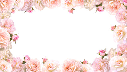 Valentines Day. Roses frame border isolated on a transparent background. Romantic rose set for valentine day and love illustration.