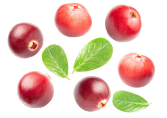 cranberry with leaves isolated on white. the entire image in sharpness.