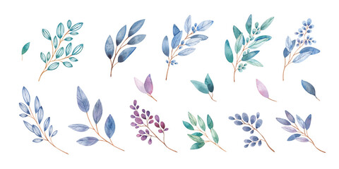 Floral set of hand-painted watercolor. Flowers, twigs, leaves, blue. An illustration highlighted on a white background. Use it for postcards, invitations and scrapbooking.