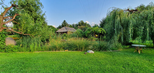 Beautiful garden with green grass and trees in summer. Panorama