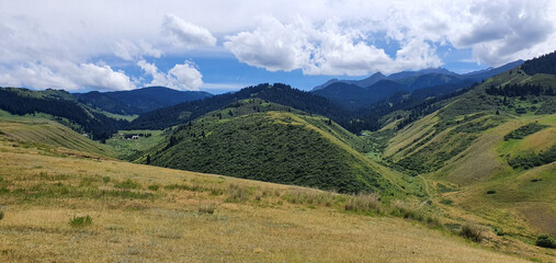 Fototapeta na wymiar Mountain landscape with green grass and blue sky, Kazakhstan