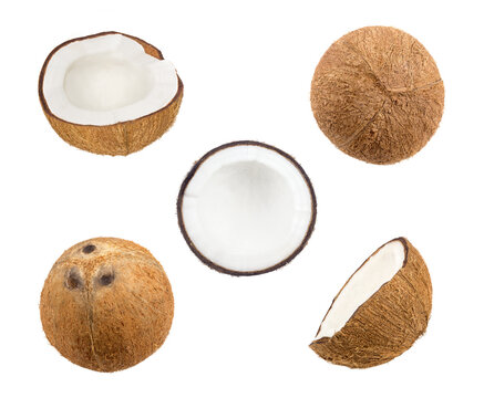 Coconut with half. Fresh raw coconut with palm leaves isolated on white background. High resolution image