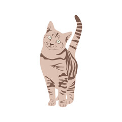 Naklejka na ściany i meble Cute Cat isolated. Adorable cartoon animal domestic kitty. Home pet concept in flat style. vector illustration