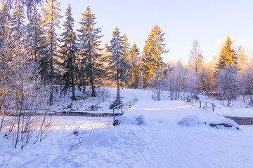Winter landscape of a forest area outside the city on a sunny frosty day.