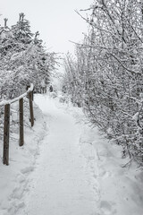 Mountain trail