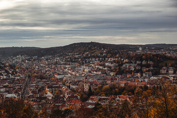 Beautiful panorama of the autumn big city view from above