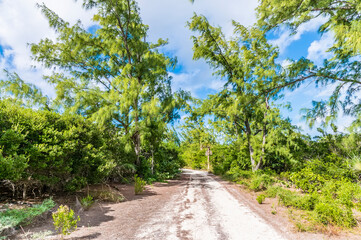 A view down a track parallel to the beach on the island of Eleuthera, Bahamas on a bright sunny day