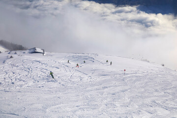 Fototapete bei efototapeten.de bestellen   