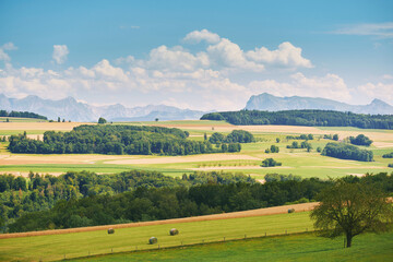 Fototapeta na wymiar Beautiful summer landscape with bright green fields, canton of vaud, Switzerland