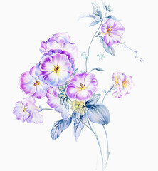 Flowers watercolor illustration. Manual composition.Design for cover, fabric, textile, wrapping paper . - 565331463