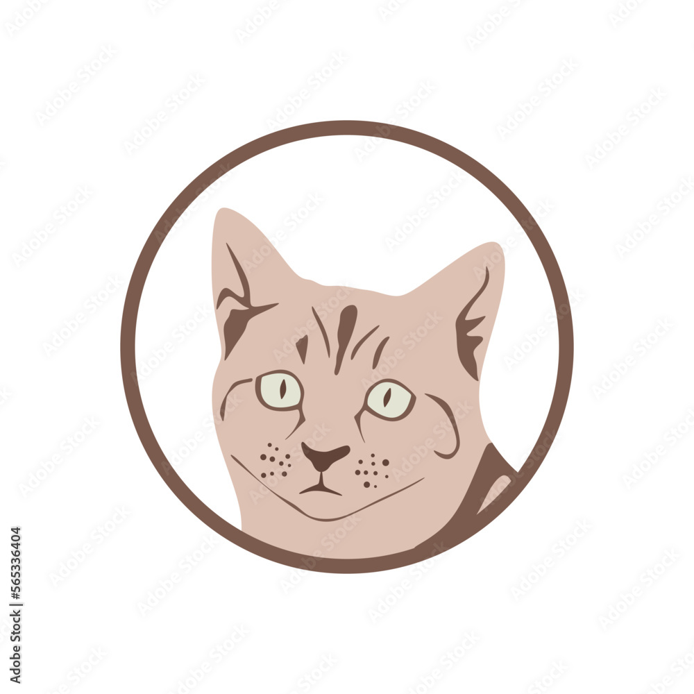 Poster muzzle of a cat in a circle. cat sign design in circle shape isolated. cat logotype design. animal v