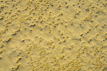 Natural background texture of frozen sand close-up.