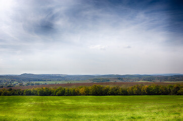 Fototapeta premium Wiese im Herbst
